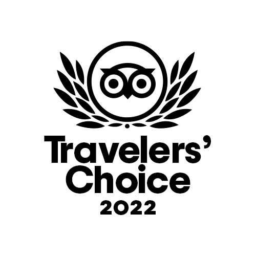 Animation TC 2022 1