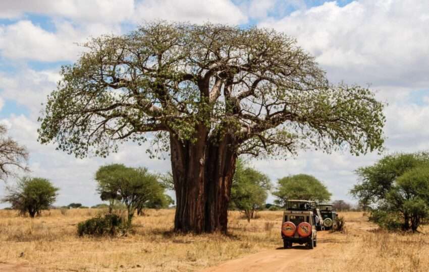ictures all shot in Eastern Africa, Kenya and Tanzania