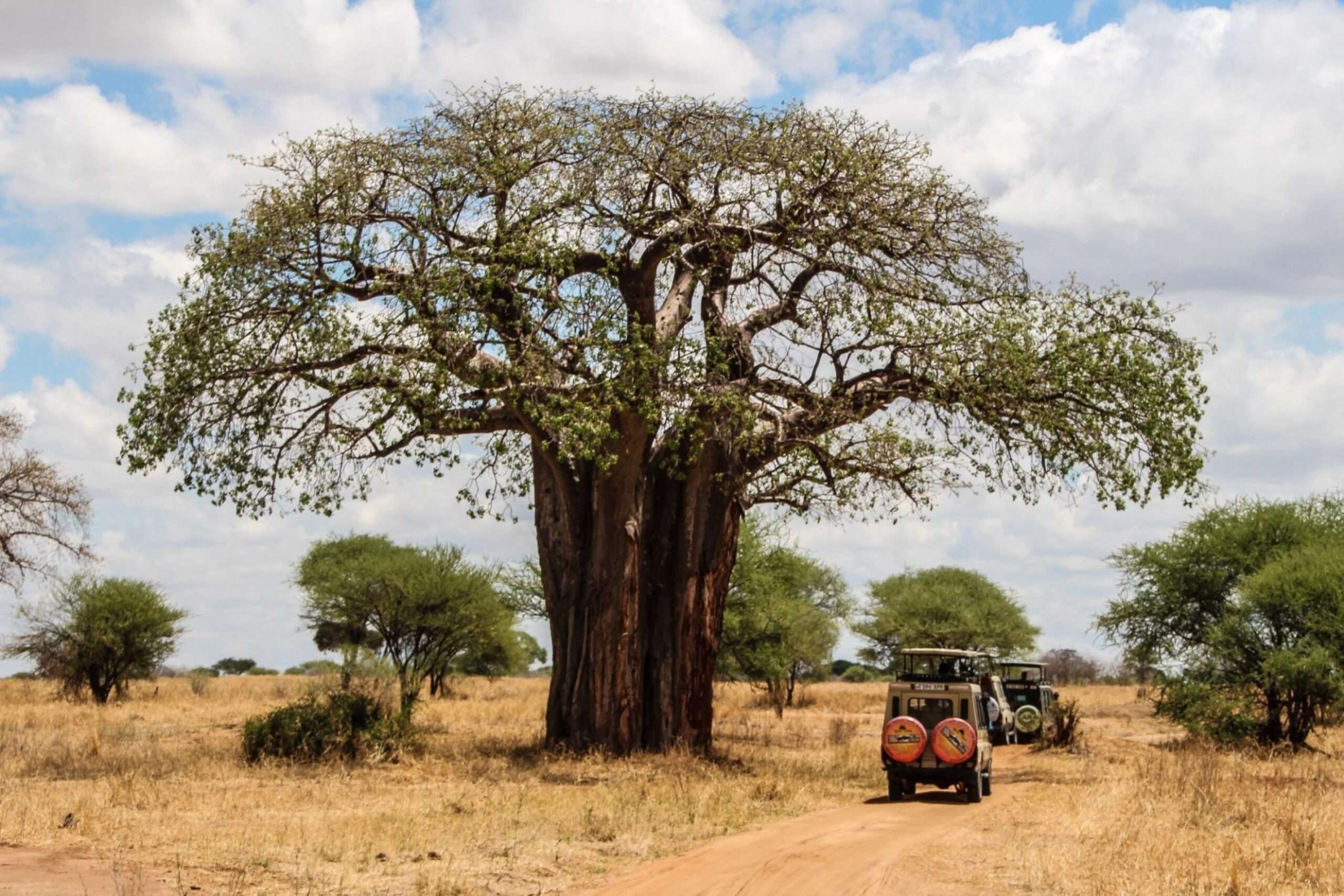 Tanzania