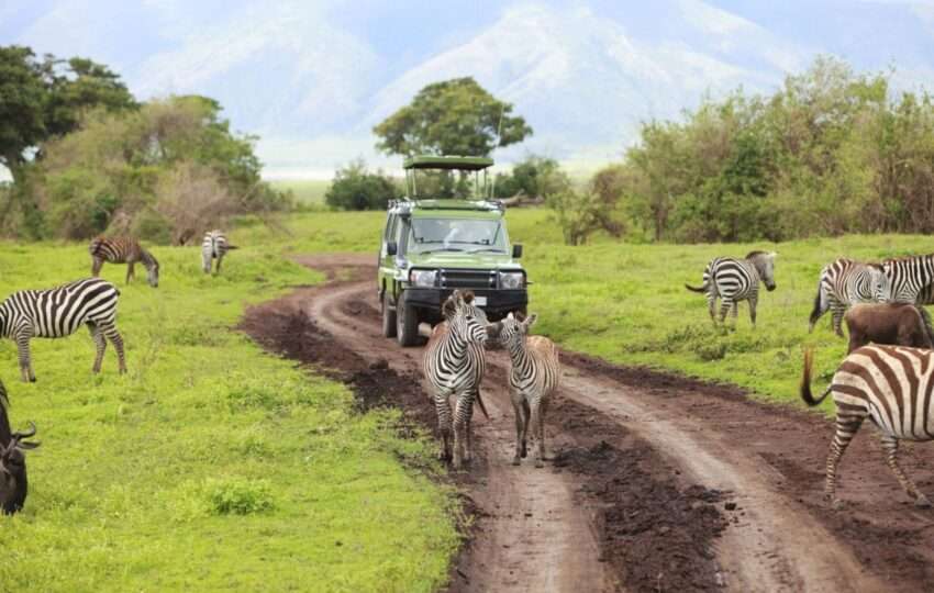 Game drive