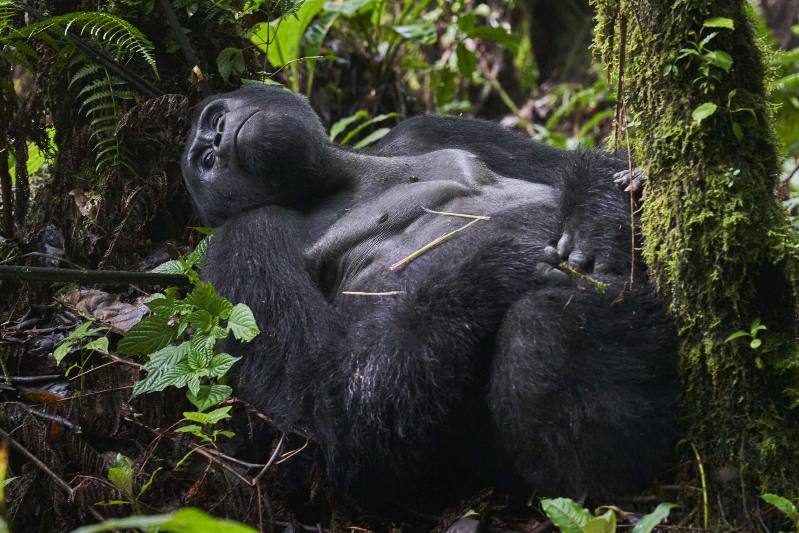 Rwanda