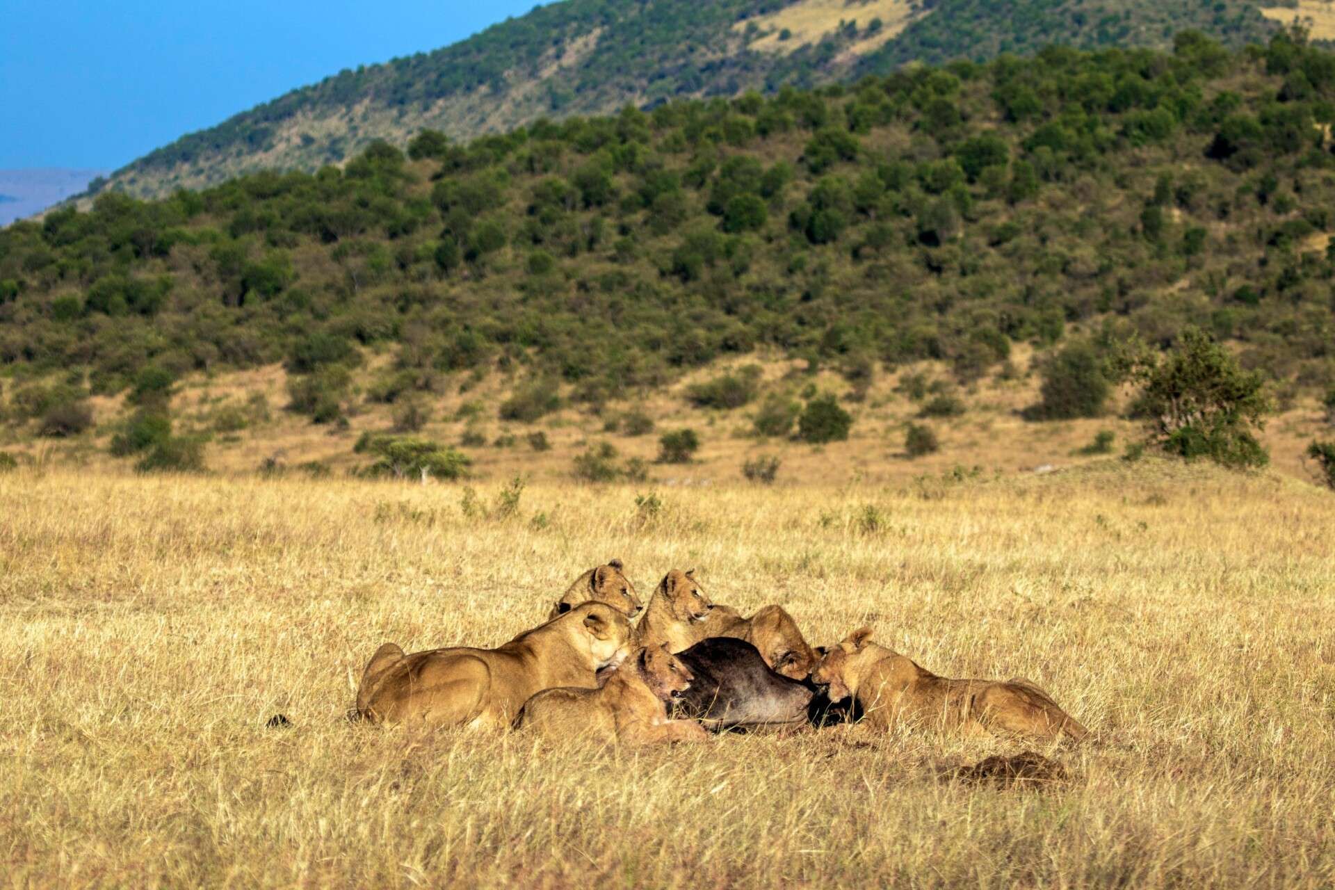 Tsavo East National Park