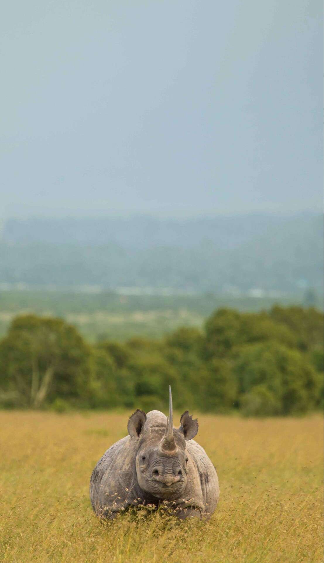 Ol Pejeta Conservancy