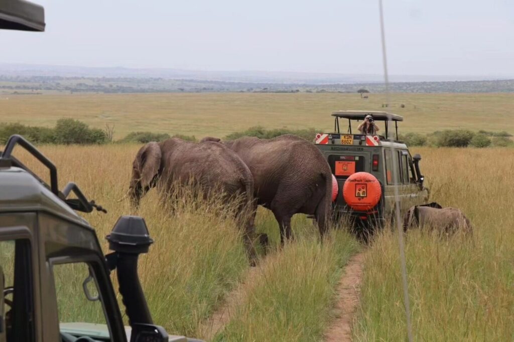 3-Day Amboseli Tsavo East Safari