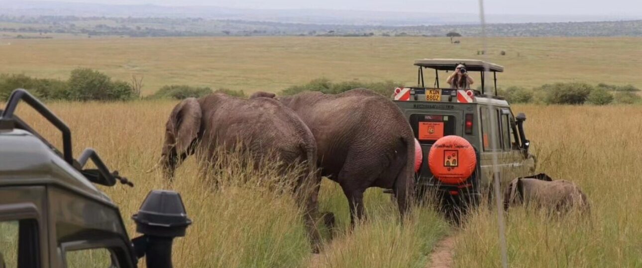 3-Day Amboseli Tsavo East Safari
