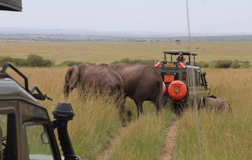 3-Day Amboseli Tsavo East Safari