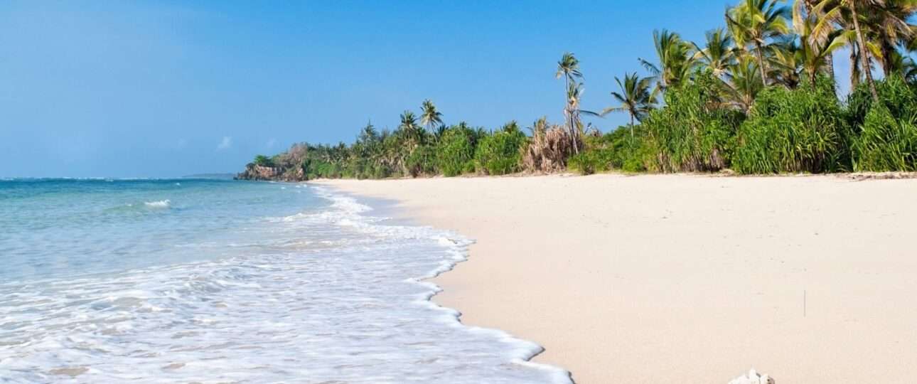 Wildlife and Diani Beach Safari
