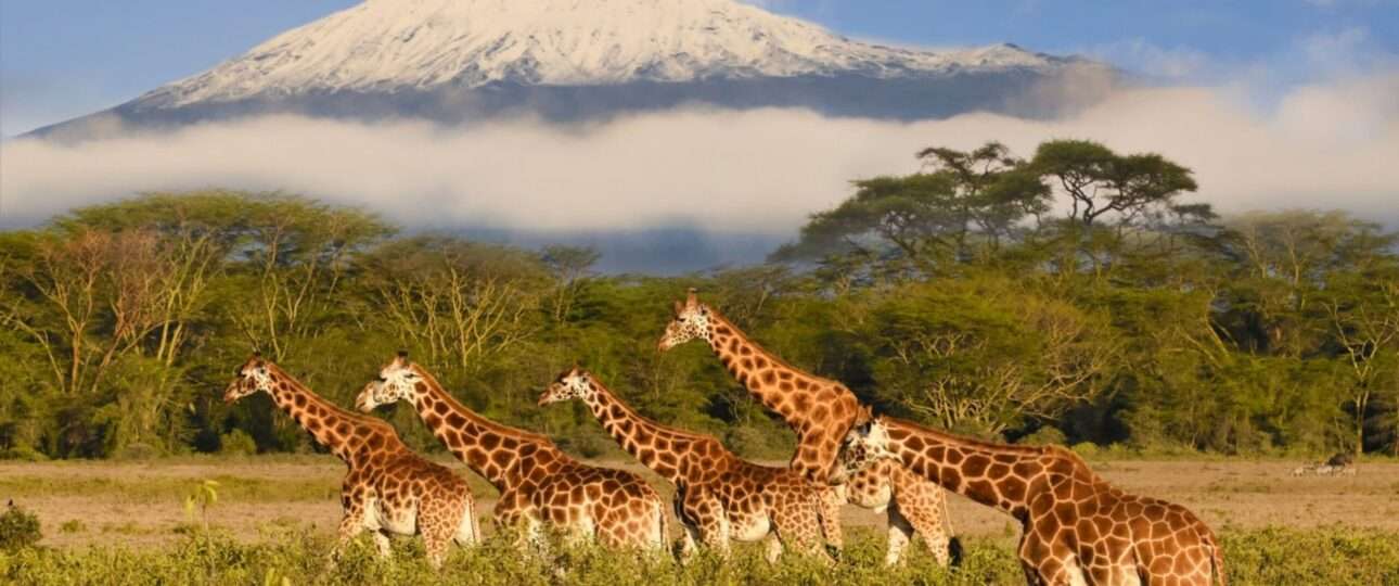 best safaris in Kenya