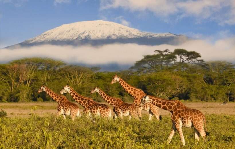 4 Days Mombasa Safari - Tsavo West, Amboseli, Tsavo East, Mombasa Beaches