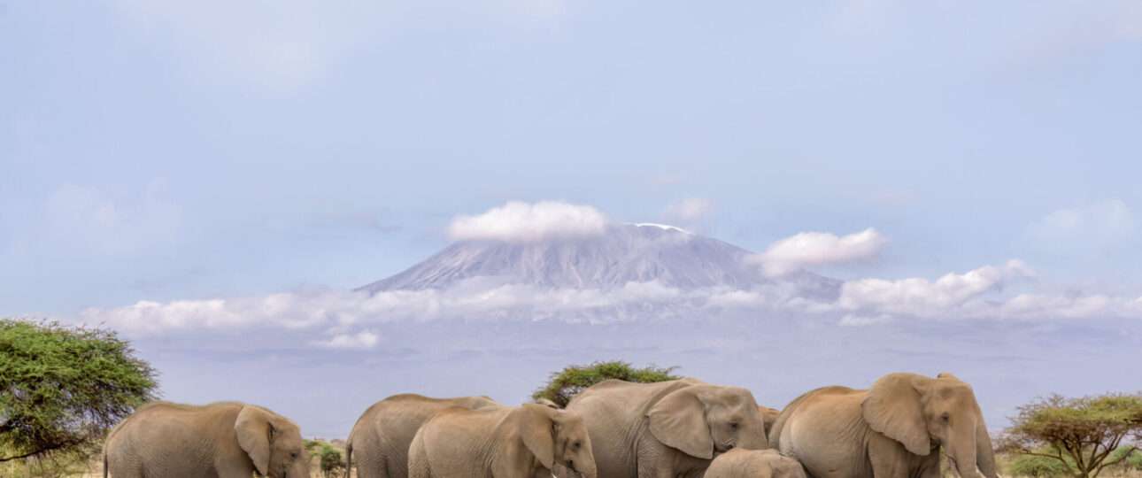 7 day Kenya safari
