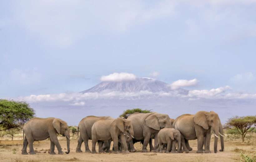 9-DAY HIDDEN GEM OF THE KENYA WILDERNESS SAFARI