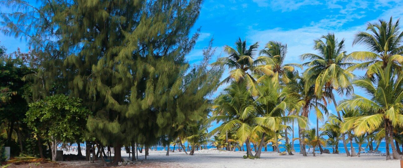mombasa safari beach holiday