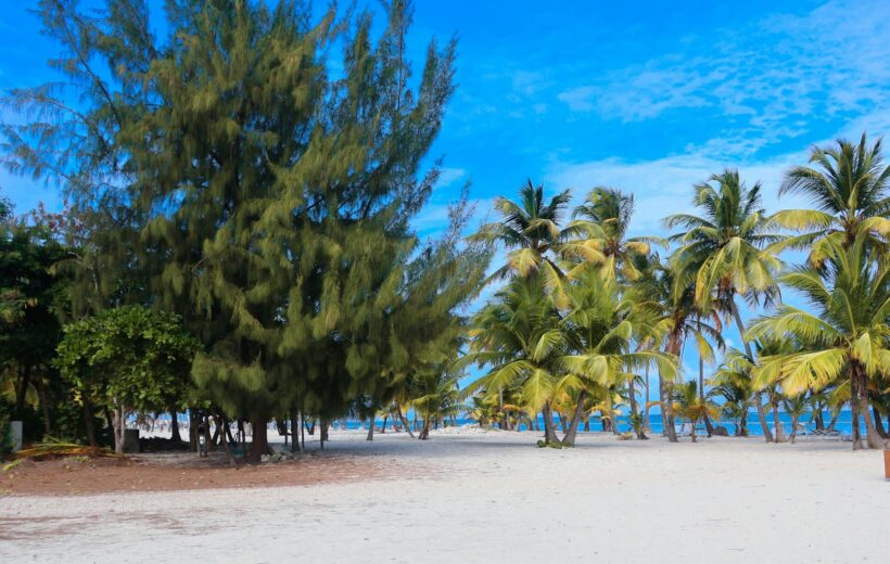 4 Days Mombasa Safari - Tsavo West, Amboseli, Tsavo East, Mombasa Beaches