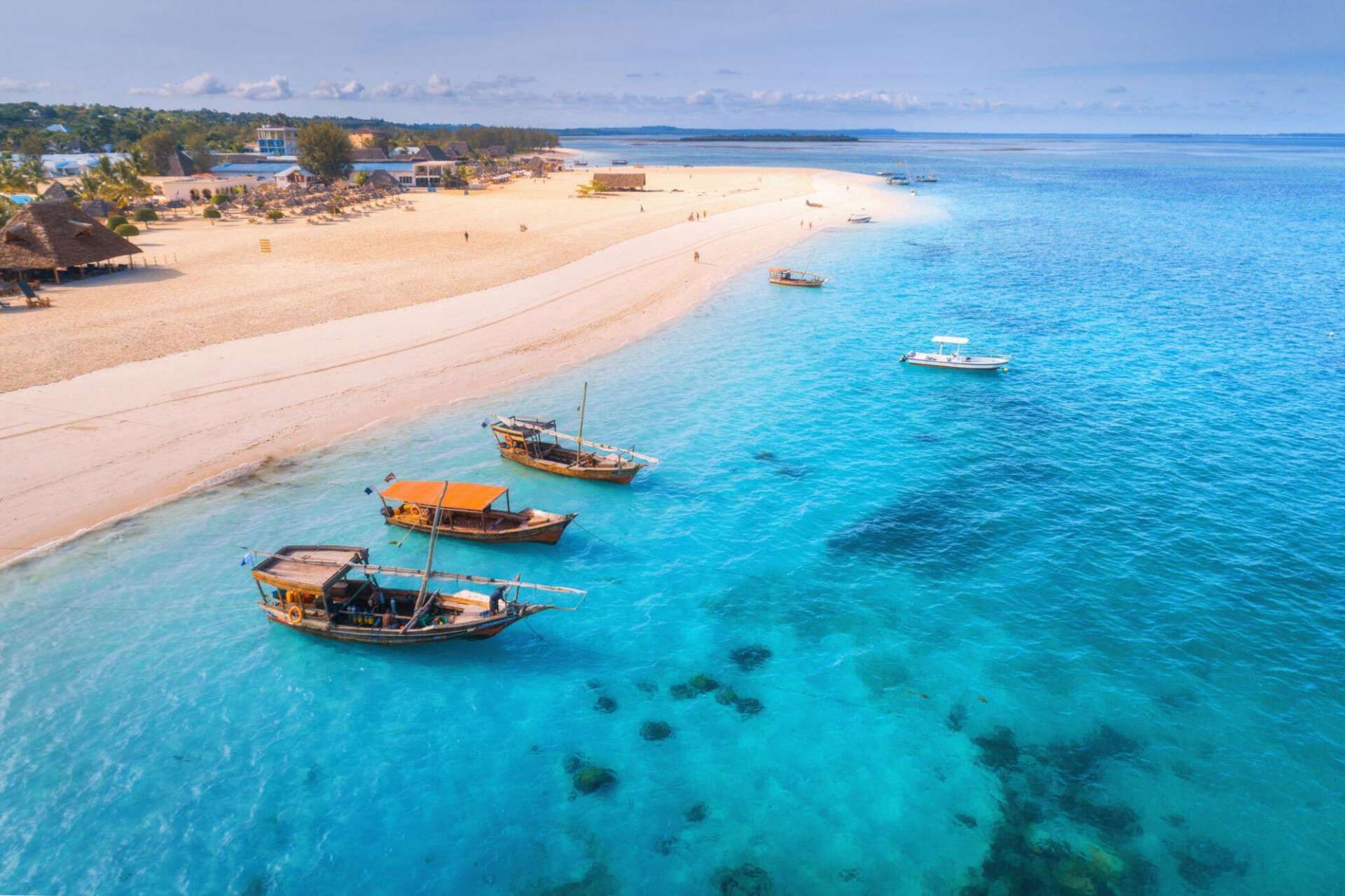 Safari & Beach