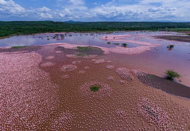Lake Bogoria National Park
