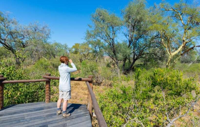 6-DAY NORTHERN & SOUTHERN SKY PRIVTE ECONOMICAL SAFARI
