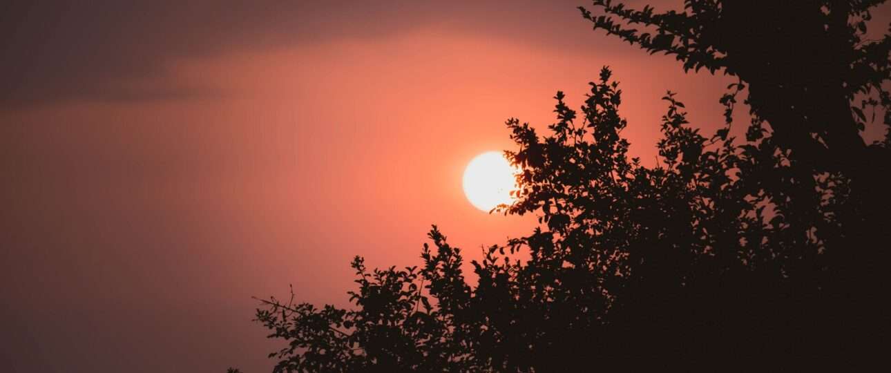 the sun is setting behind some trees