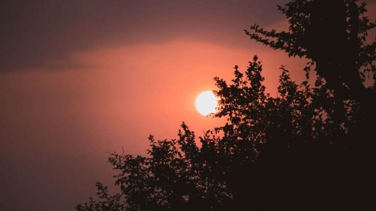 the sun is setting behind some trees
