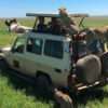 serengeti National Park
