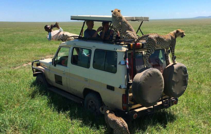 4 DAYS FABULOUS TANZANIA ADVENTURE SAFARI