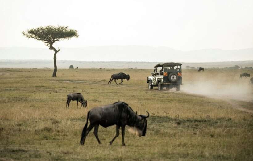 5-DAY MOMBASA TSAVO AMBOSELI NAIROBI SAFARI