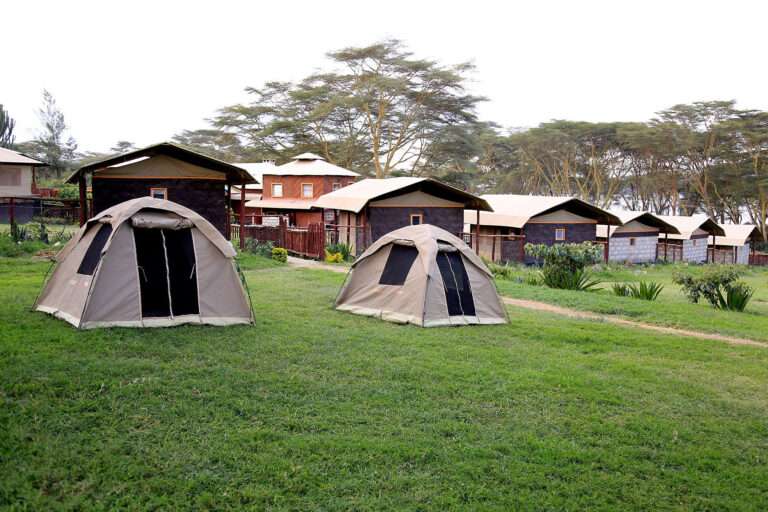 Naivasha West Beach Camp 2