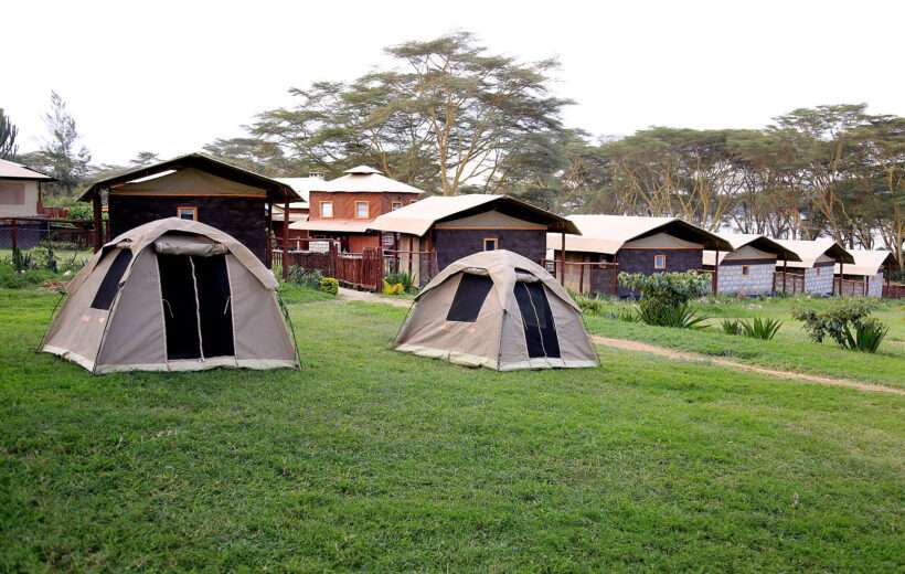 7-Day Thrilling Adventure Safari on a Budget