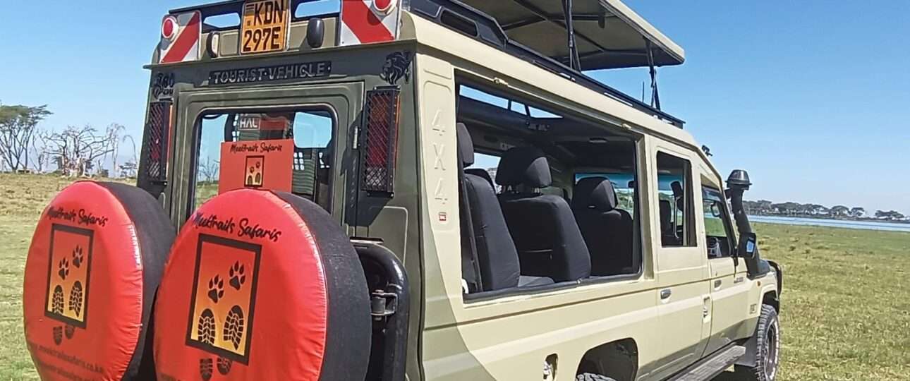 open top jeep ideal for safari
