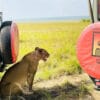 Masai Mara photo_