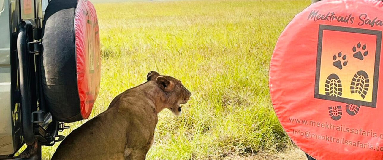 Masai Mara photo_