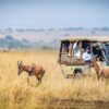 Kenya Safari Packages all inclusive