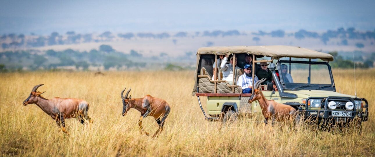 Best Kenya Safari Packages (2025/2026) 1 Kenya Safari Packages all inclusive