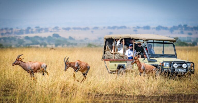 Kenya Safari Packages all inclusive