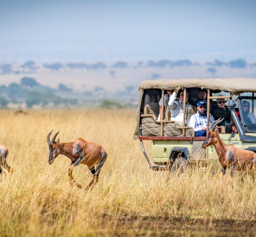 Best Kenya Safari Packages (2025/2026) 1 Kenya Safari Packages all inclusive