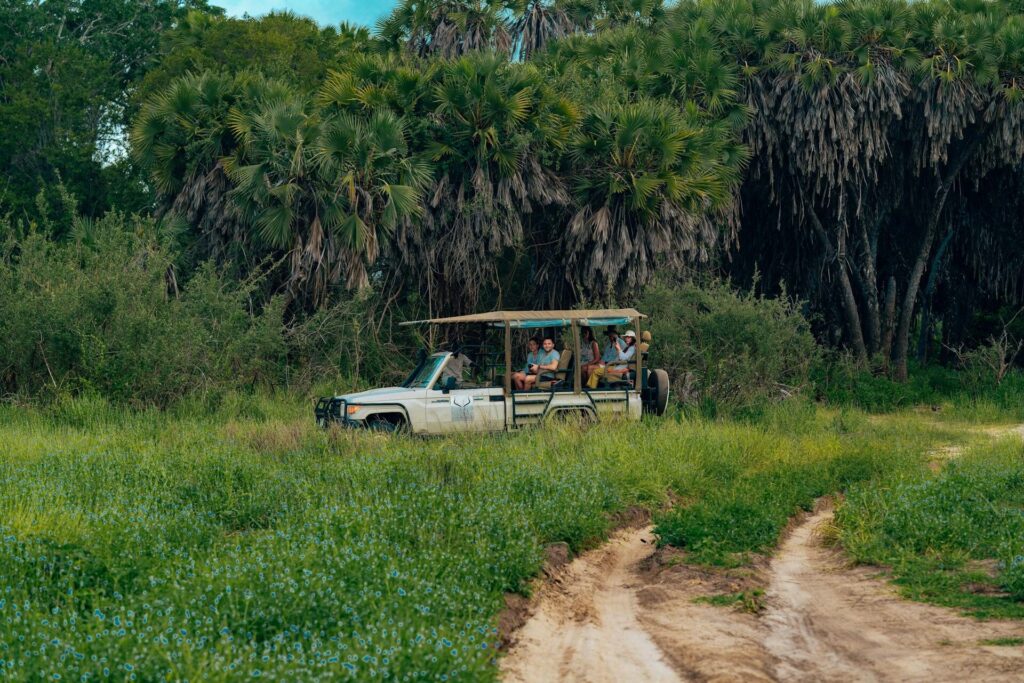Best Kenya Safari Packages (2025/2026) 31 Kenya safari all inclusive packages