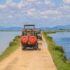 budget safaris in kenya