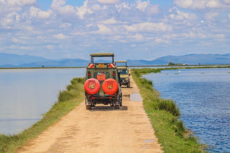 budget safaris in kenya