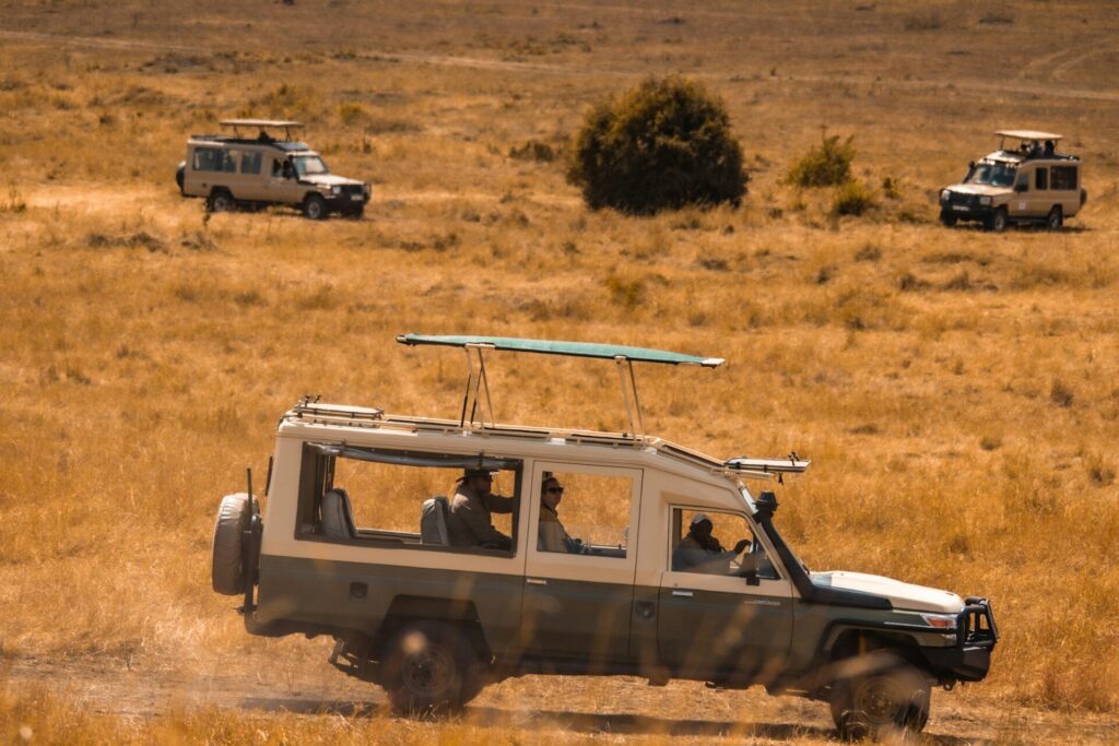 How to Plan a Budget Safari in Kenya 1 kenya safaris