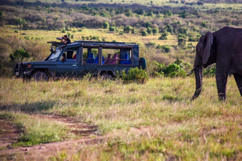 How to Plan a Budget Safari in Kenya 3 safaris in Kenya by Meektrails