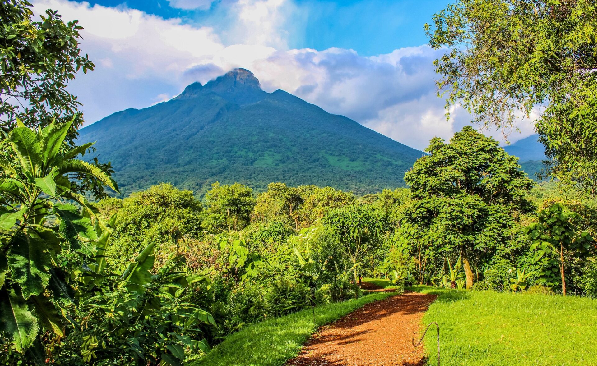 Virunga national park