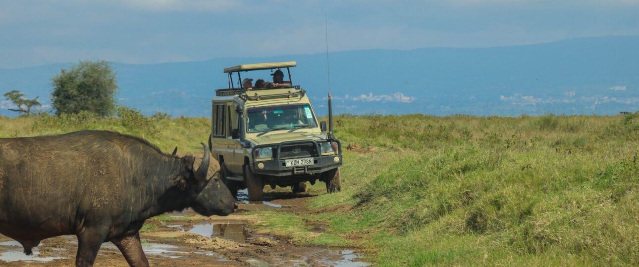 private safari in Kenya Masai Mara Amboseli