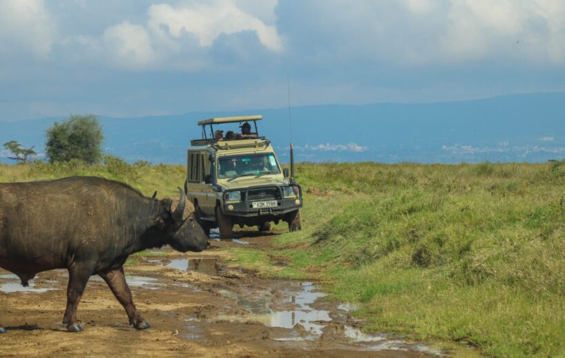 6-Day Private Safari Masai Mara, Lake Nakuru & Amboseli