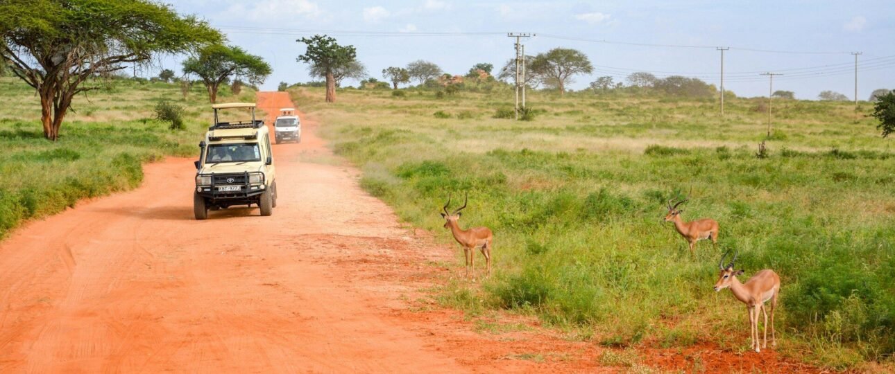 Safaris in Kenya: Best Wildlife & Cultural Adventures 1 best safaris in Kenya, Africa