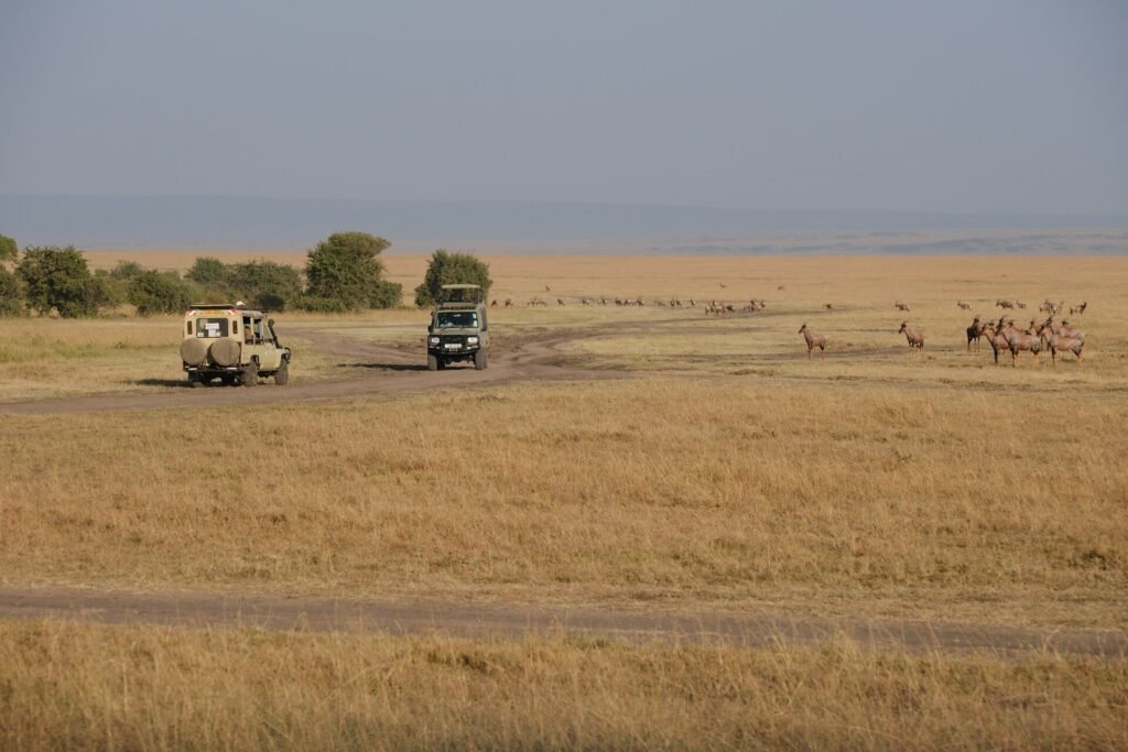 safaris in Kenya, Amboseli