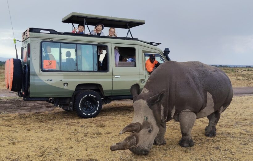 Meektrails Safaris | Best Kenya Safari Tours 14 5-Day Mid-range Lake Naivasha to Masai Mara Safari