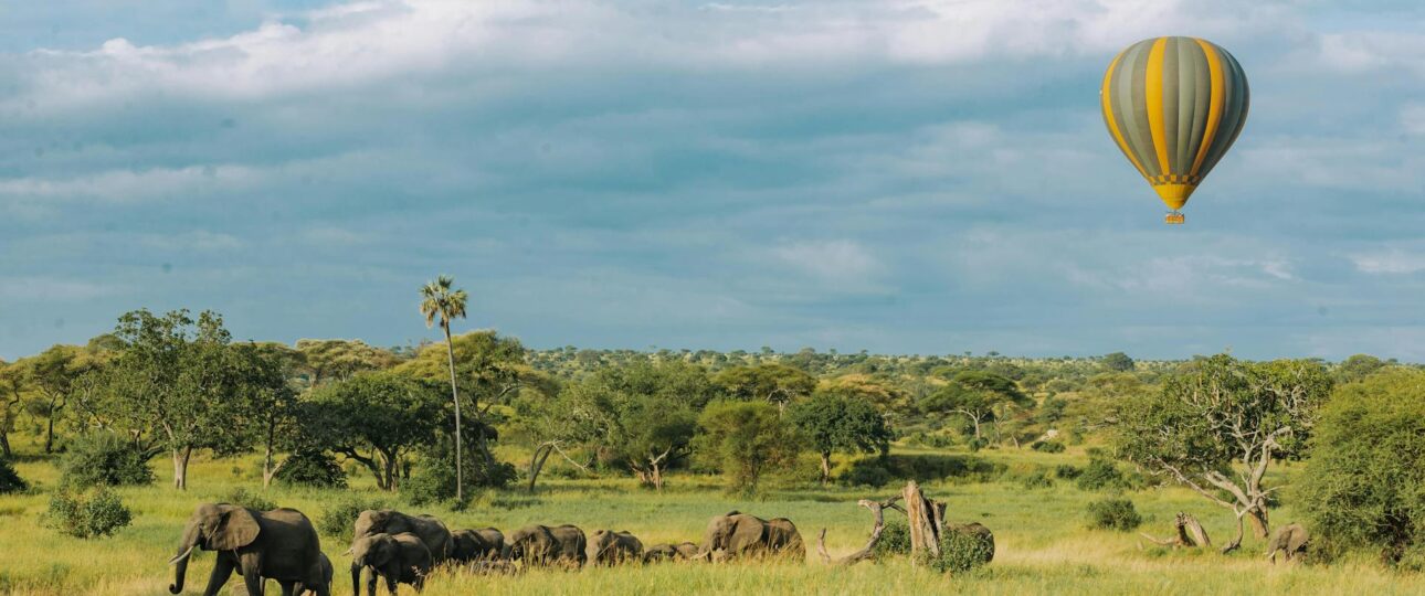 Luxury Masai Mara, Lake Naivasha Safari