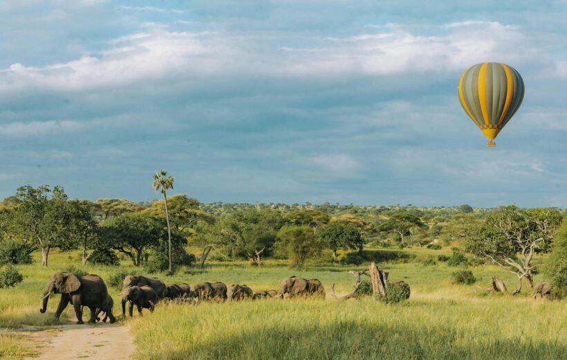 4-Day Luxury Masai Mara, Lake Naivasha Safari