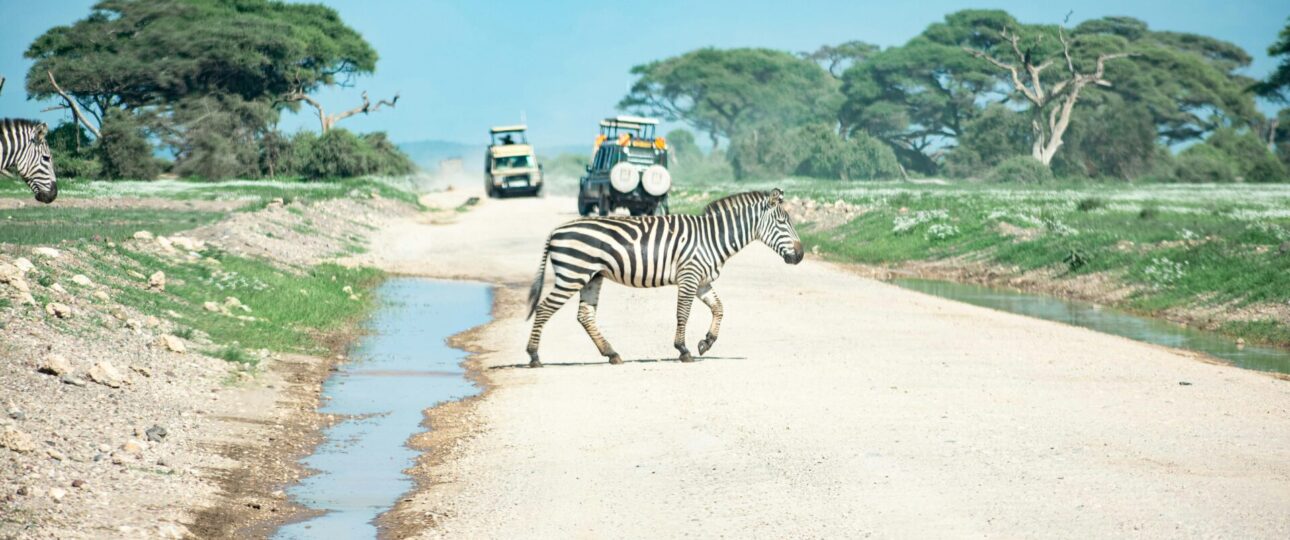 Magical Kenya Budget Safari