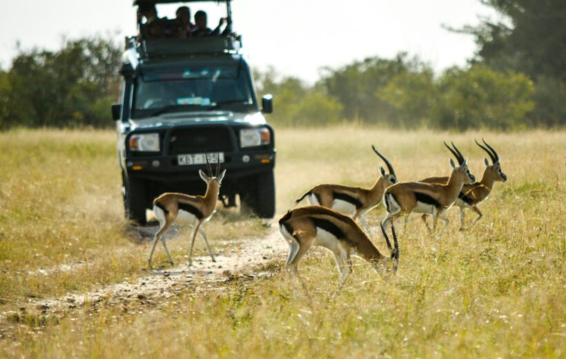 3-Day Mid-Range Masai Mara, Lake Naivasha Safari