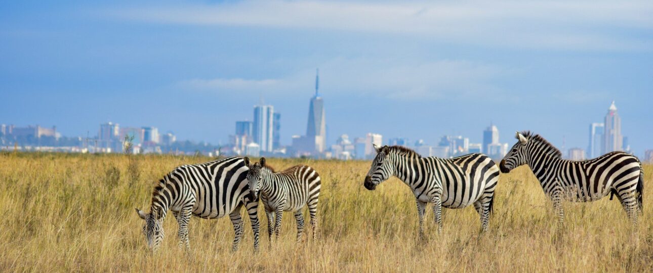 1-Day Best of Nairobi City Excursion 5 day trip nairobi city excursion